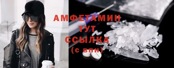 твердый Аркадак