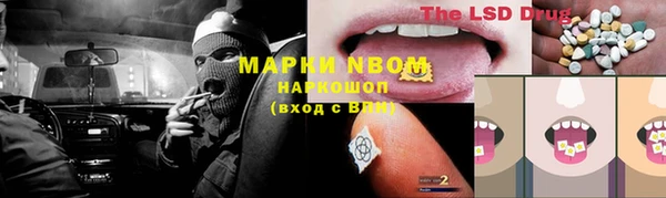 бошки Лабытнанги