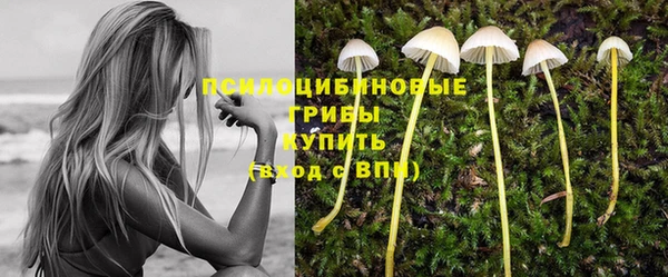 2c-b Ладушкин