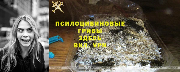бошки Лабытнанги