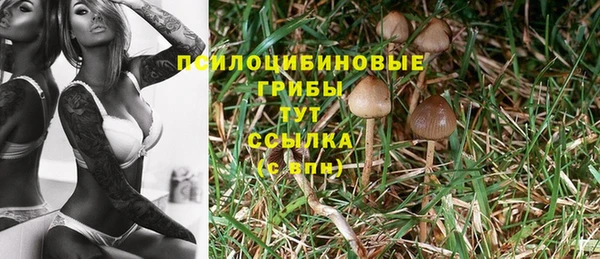 2c-b Ладушкин